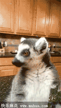 海苔什么的最好吃了呢