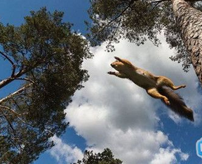 这一瞬间好霸气啊