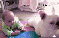 来来来 你跟我学啊