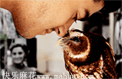 跟主人蹭鼻子什么的最好玩了