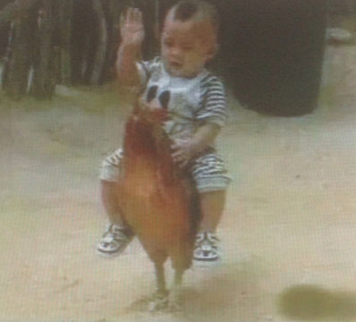 逼养的，你倒是飞，飞啊