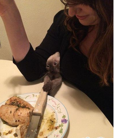 这是我的！谁敢动！