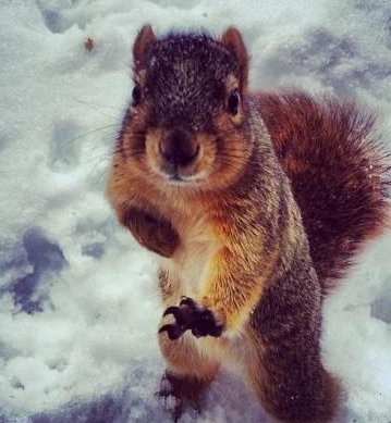 你、你可别过来！我学过功夫的！