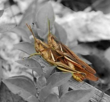 新一波艳照来袭，哈哈