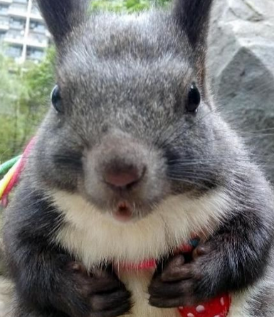 美女来，亲一个