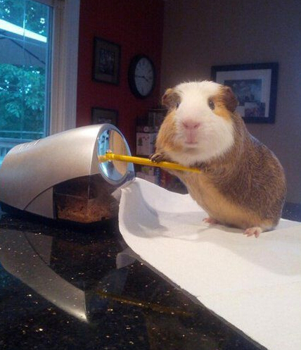 养这么大终于能干点活儿了