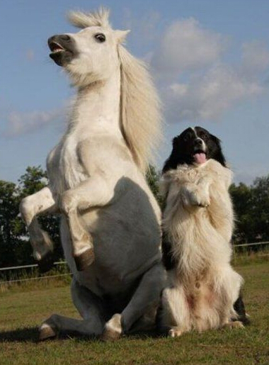 我们真的都很乖的