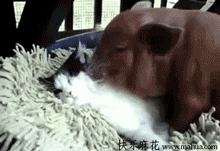 这个磨人的小妖精，被俺包养了！