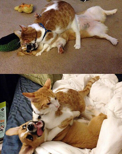 那些没羞没臊的日子