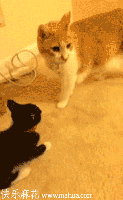 土豪土豪我们做朋友吧！