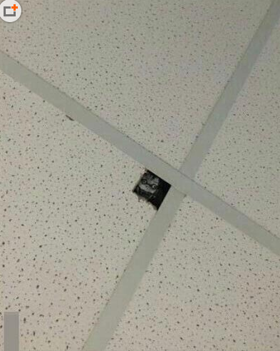 去厕所，然后看到天花板上贴了个这货。。。感觉整个人都不好