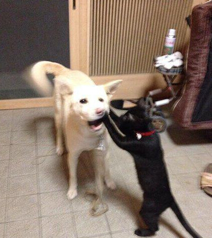 是这颗么，我给你拔了