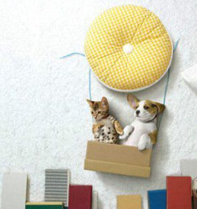 喵汪历险记神马的