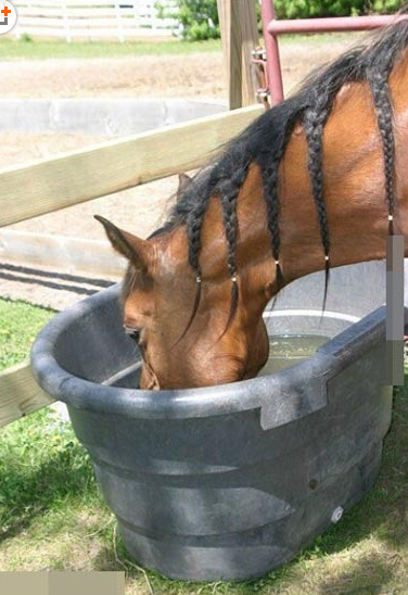 看到了一颗少女心