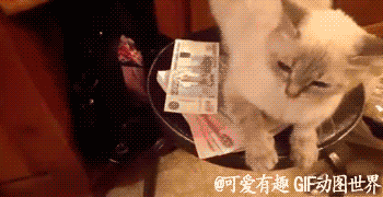 介是俺的钱！都是俺的！不许碰！