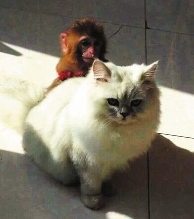 别怕，躲在我后面