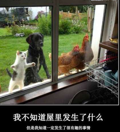 快看，屋里有个承包鱼塘的霸气总裁