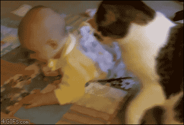 我发现我家猫简直太有心机了