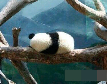 好孤单寂寞冷的背影。