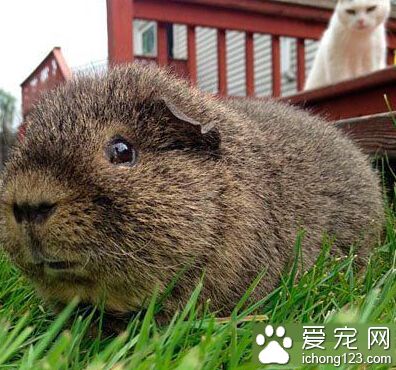 “你不可以走，你不能带着这几天的缱绻残忍的离开！”