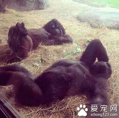 我就喜欢享受众人敬仰的目光！