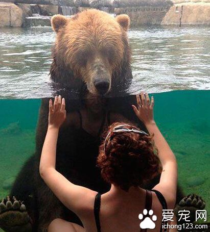 你以为这是你家鱼缸呀，滚粗。