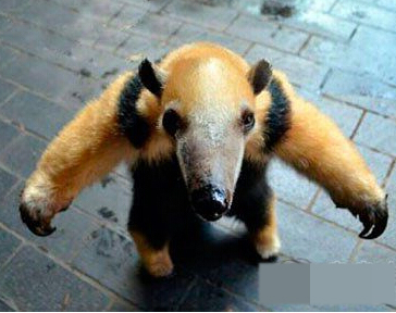 来战吧，骚年！