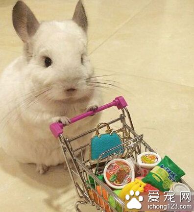 逛街买好吃哒是最开心的一件事啦～