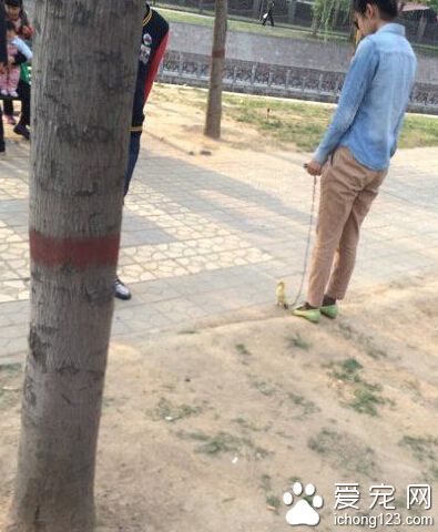 妹子放开那只可怜的小黄鸭，冲我来！