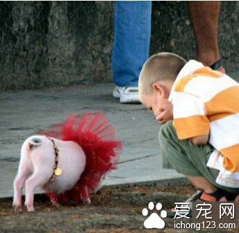 嘿，你今天真漂亮