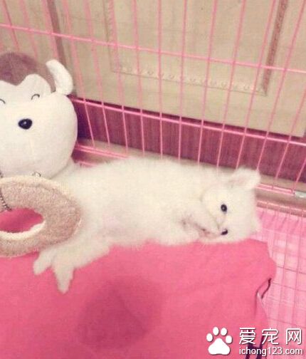 尿床没脸见人了是吧？！