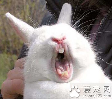 啊～～这个季节就是犯困啊～