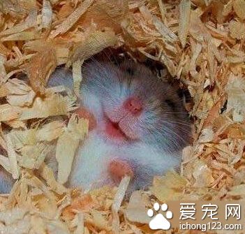 小胖纸，你笑的我心萌呀萌的。