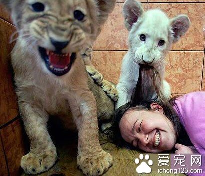 看什么，看不见我们准备开饭！