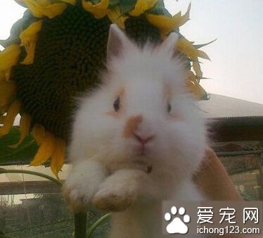 二货主人，你不要光吓唬人家好不好啦～