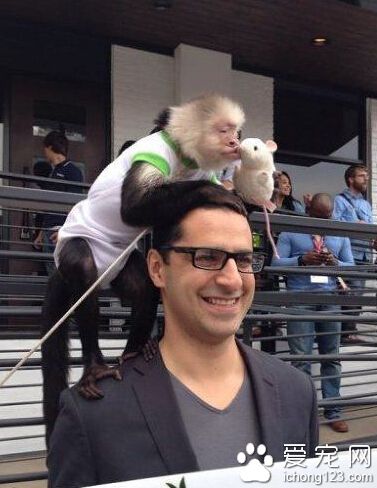 不抢镜，不是我风格！