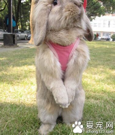 原谅我没有拍到重点。。。