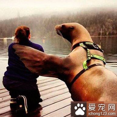 别哭了，至少你还有我