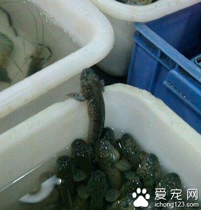 别挤啊，兄弟们能出去一个算一个！