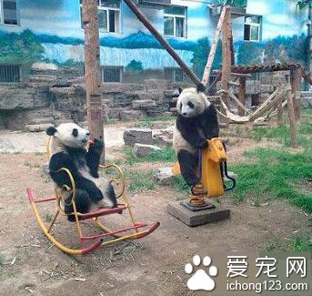 一会咱俩换着玩好不好？