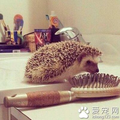 亲爱的你怎么不说话，生我气了么？