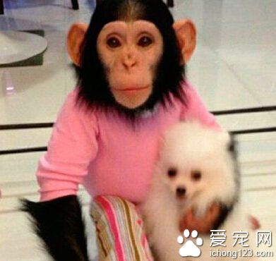 好有爱的两个小家伙