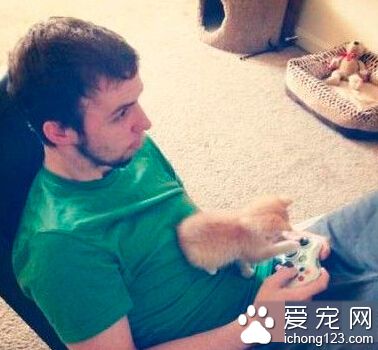 打游戏经常输的原因