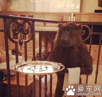 先生，这是您点的菜，请过目