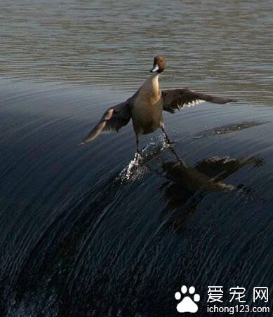 你们有我这么酷么？