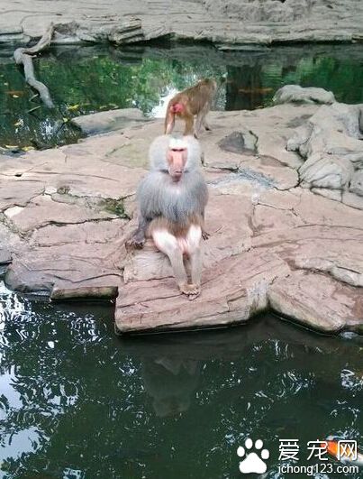 淑女范十足啊～