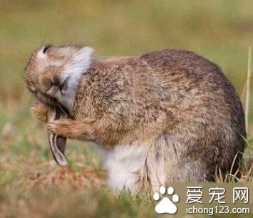 今天阳光很好，洗发水也不错。