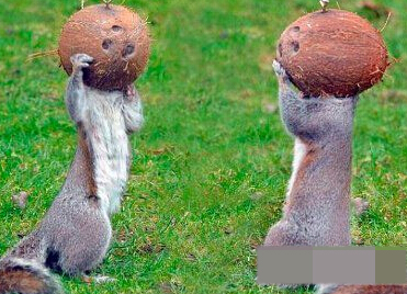 是啊，这么巧，你也被卡住了？