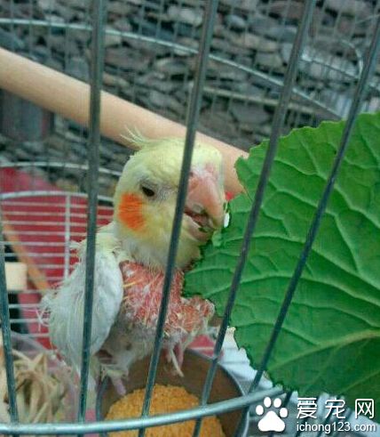 一看你就不是什么好鸟，还露胸！