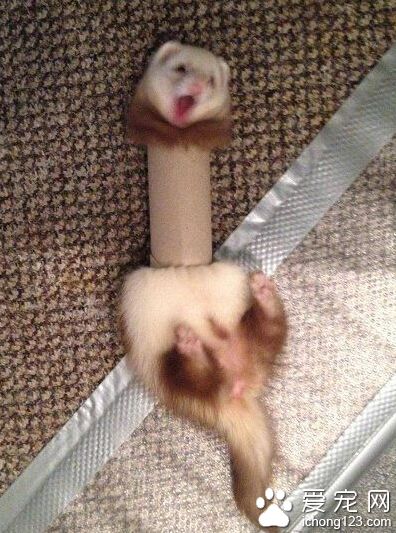 快救我啊！！我出不来惹！！